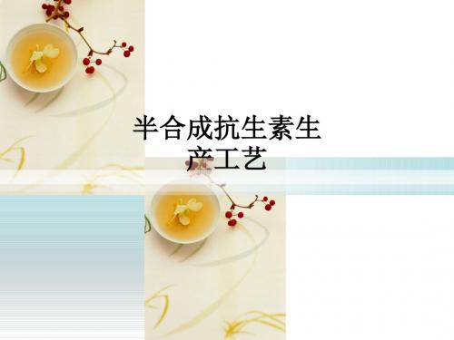 半合成抗生素生产工艺ppt课件