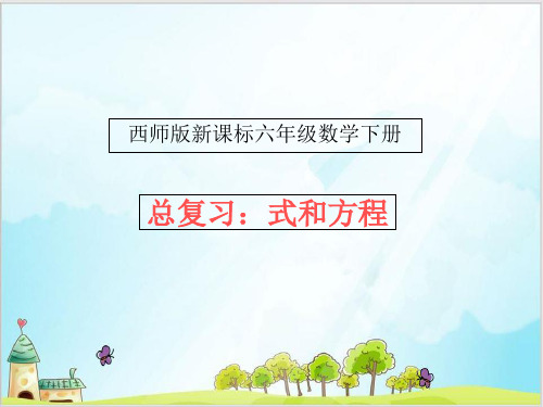 六年级下数学-5.等式与方程-西师大版-课件PPT(15张)
