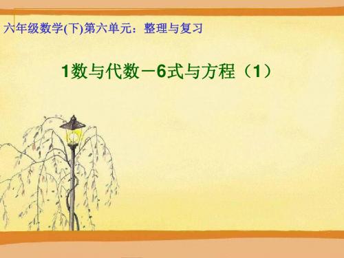 青岛版小学六年级数学下册回顾整理-数与代数-式与方程