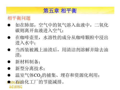 化工热力学第五章 相平衡