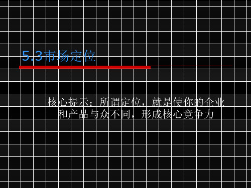 任务.5.3市场定位ppt