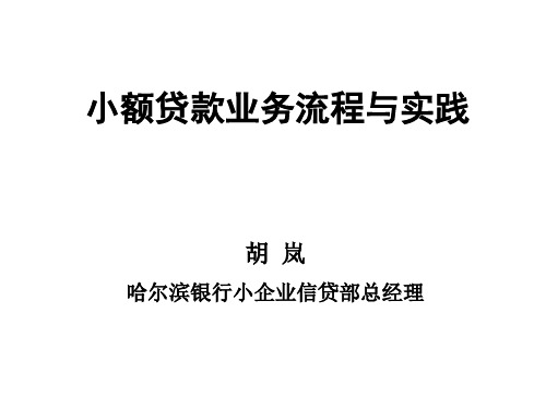 小额贷款业务流程与实践
