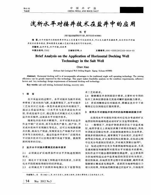 浅析水平对接井技术在盐井中的应用