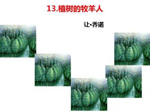 人教版七年级上册(2016部编版)13《植树的牧羊人》课件(共38张ppt)