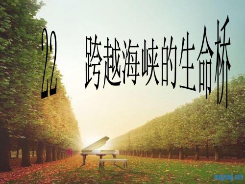 22课《跨越海峡的生命桥》