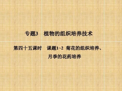 高考生物一轮总复习 第四十五课时 课题1~2菊花的组织培养课件 新人教选修1