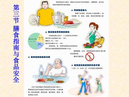 苏教版七年级下册生物-第三节_膳食指南与食品安全_课件1.ppt