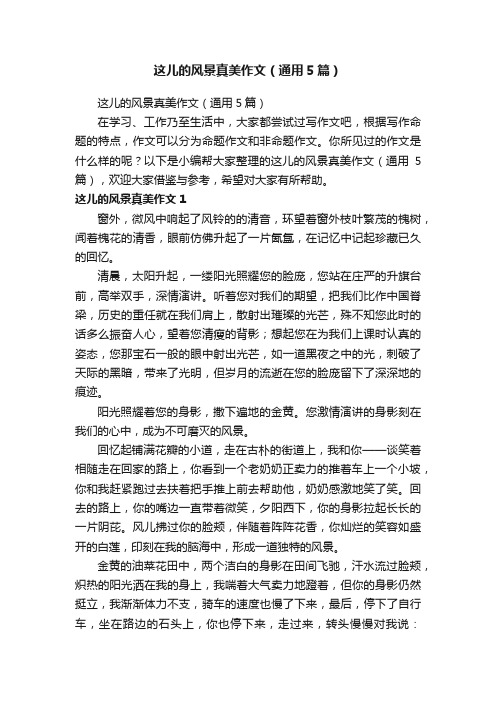 这儿的风景真美作文（通用5篇）