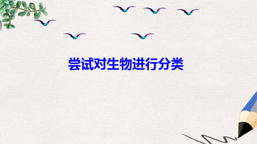 八年级生物上册第六单元第一章第一节尝试对生物进行分类课件1新版新人教版