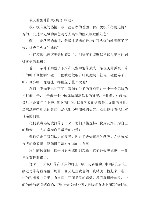 中小学秋天的落叶作文(集合15篇)