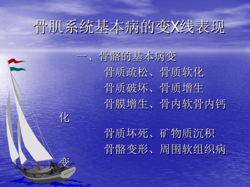 骨肌系统基本病的变X线表现ppt课件