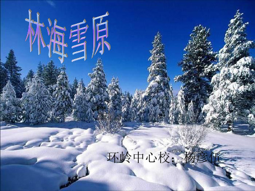 《林海雪原》PPT课件