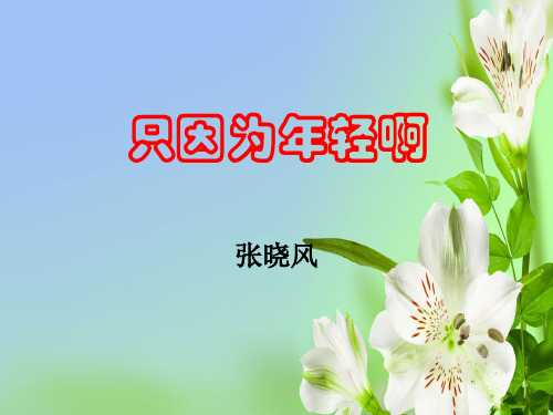 粤教版高中语文选修现代散文选读只因为年轻啊ppt1课件
