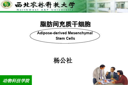 脂肪干细胞614精品文档