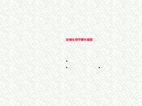 发育生物学基本原理