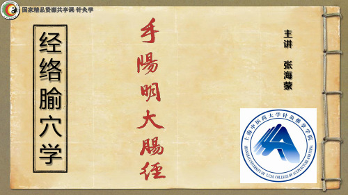 中医针灸学 手阳明大肠经