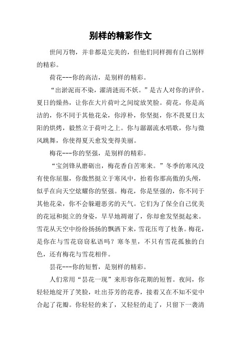 别样的精彩作文
