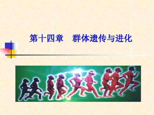 遗传学第十四章--群体遗传与进化