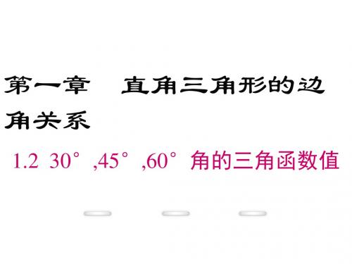 学练优九年级下册数学(北师大版)精品教学课件 1.2  30
