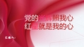 积极分子转预备党员汇报ppt