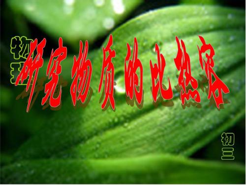 沪粤版物理九年级上册12.3研究物质的比热容 课件(共27张PPT)