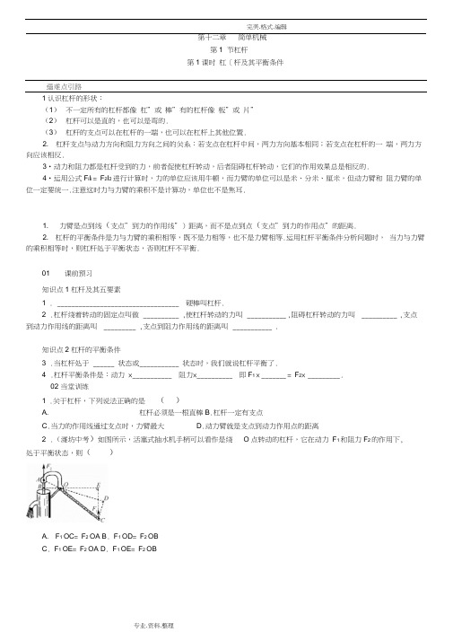 杠杆练习试题带答案解析.docx