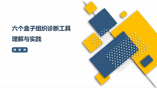 六个盒子组织诊断工具理解与实践