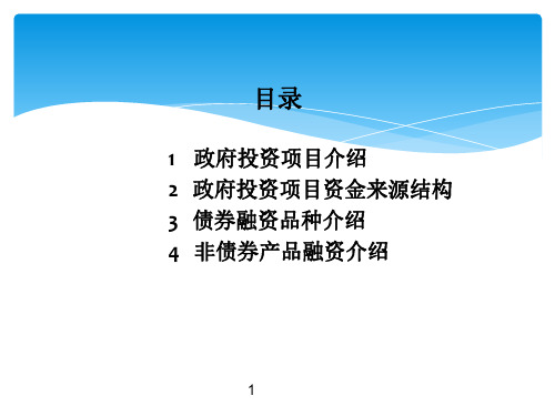 201802政府融资平台项目内容介绍资料