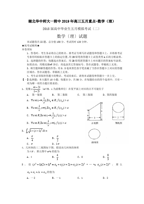 湖北华中师大一附中2019年高三五月重点-数学(理)
