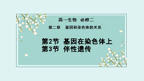 高中生物必修二第二章2、3节复习课件