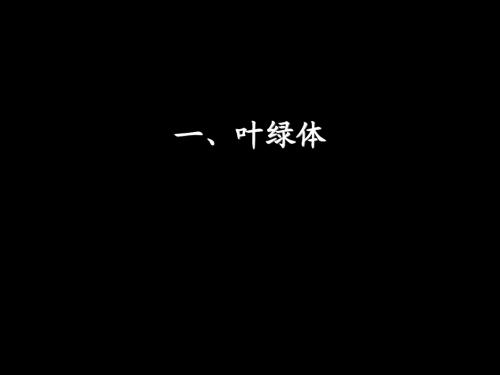 叶绿体和线粒体