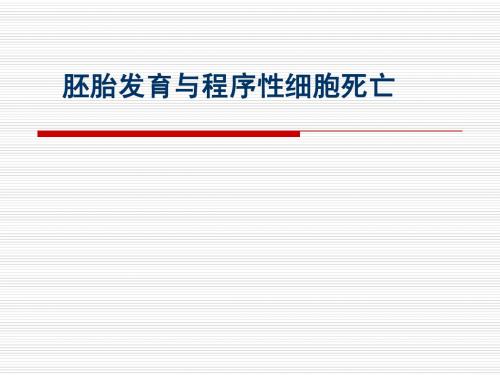 胚胎发育与程序性细胞死亡