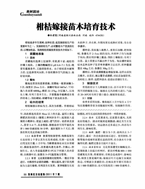 柑桔嫁接苗木培育技术
