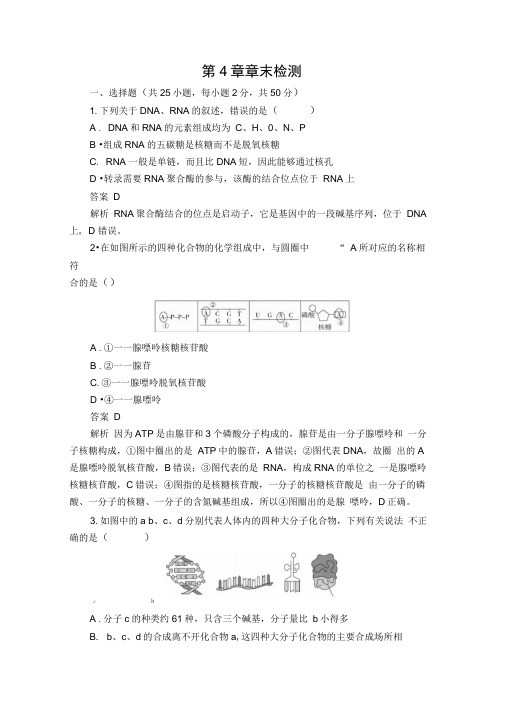 2020新教材生物人教版必修二检测：第4章基因的表达章末检测Word版含解析