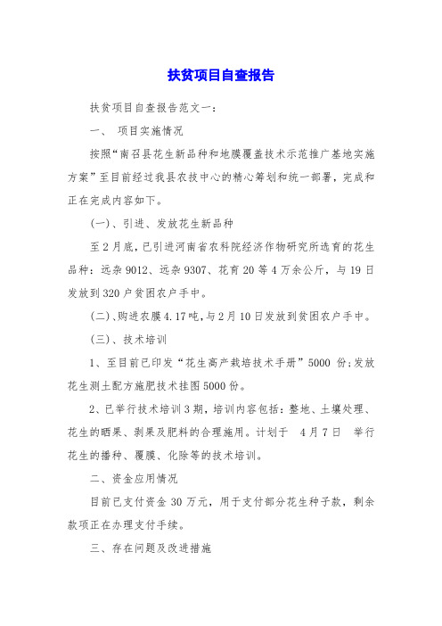 扶贫项目自查报告