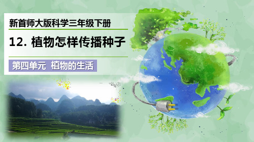 新首师大版科学三年级下册第四单元 植物的生活《植物怎样传播种子》优质课件