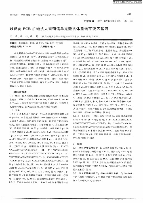 以反向PCR扩增抗人宫颈癌单克隆抗体重链可变区基因