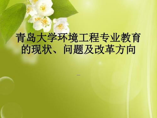 某大学环境工程专业教育的现状、问题及改革方向