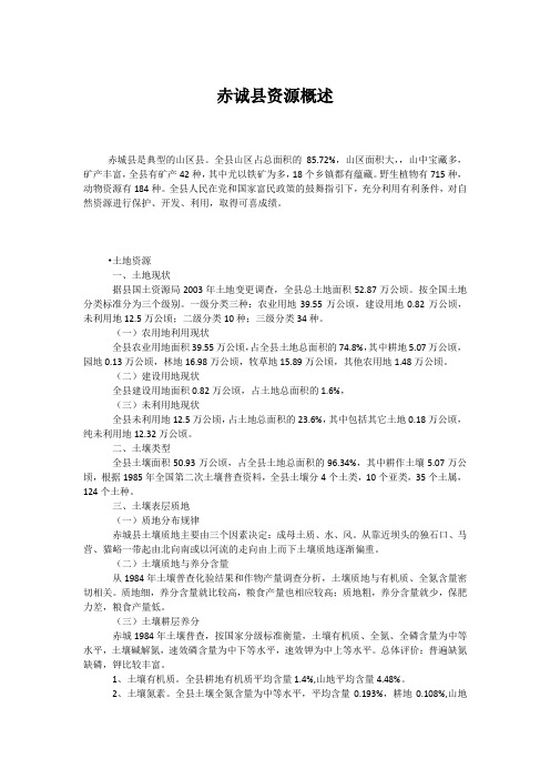 赤诚县资源概述