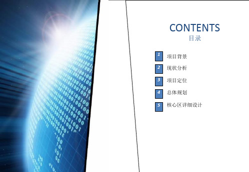 示范区国际大健康产业园项目培训课件
