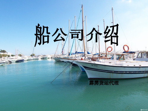 船公司介绍