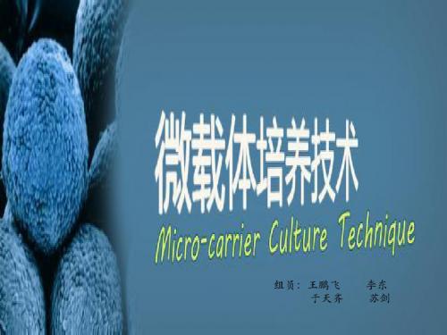 微载体