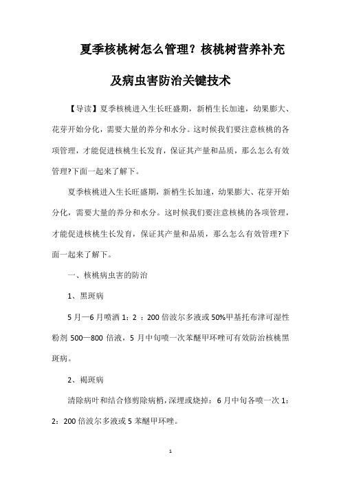 夏季核桃树怎么管理？核桃树营养补充及病虫害防治关键技术