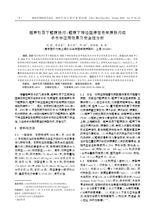 超声引导下髂腹股沟-髂腹下神经阻滞在老年腹股沟疝手术中应用效