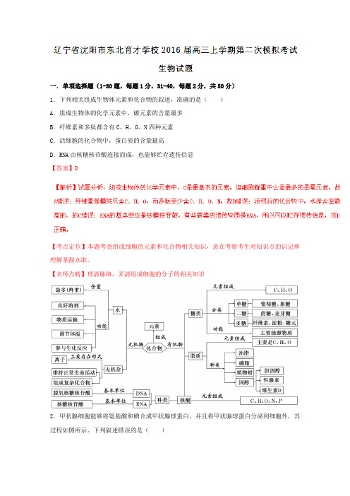 高三10月月考优质试卷分项解析：辽宁省东北育才学校2019届高三上学期第二次模拟考试生物试题解析(解析版)