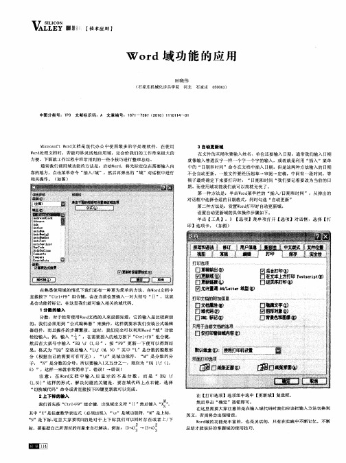 Word域功能的应用