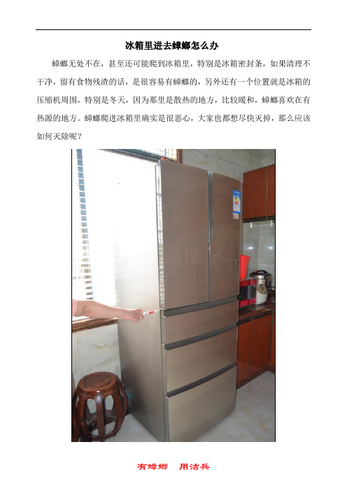 家里放一物绝对没蟑螂之冰箱里进去蟑螂怎么办好