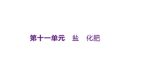 中考化学总复习课件 第11单元 盐 化肥(人教版)