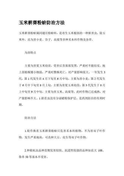 玉米耕葵粉蚧防治方法