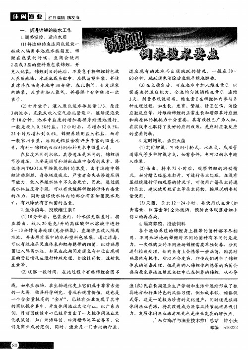 锦鲤饲养技术要点